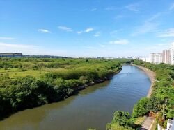 Kingsford Waterbay (D19), Apartment #444310991